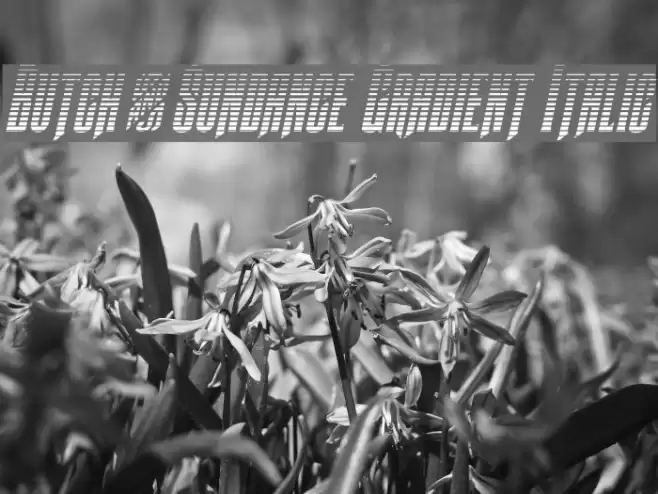 Butch & Sundance Gradient Italic Font examples