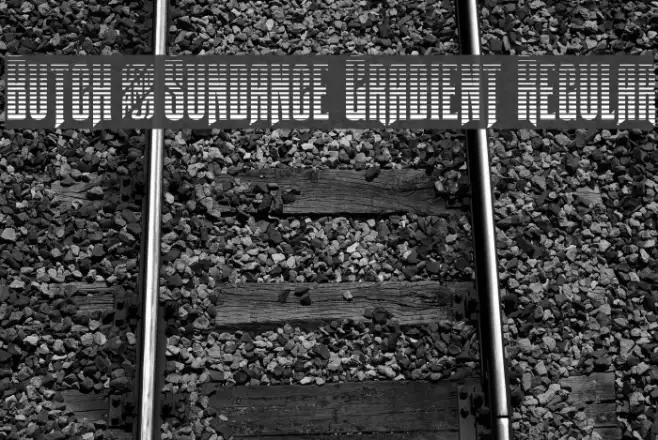 Butch & Sundance Gradient Regular Example 3