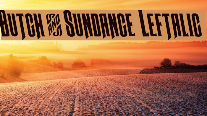 Butch & Sundance Leftalic Font examples