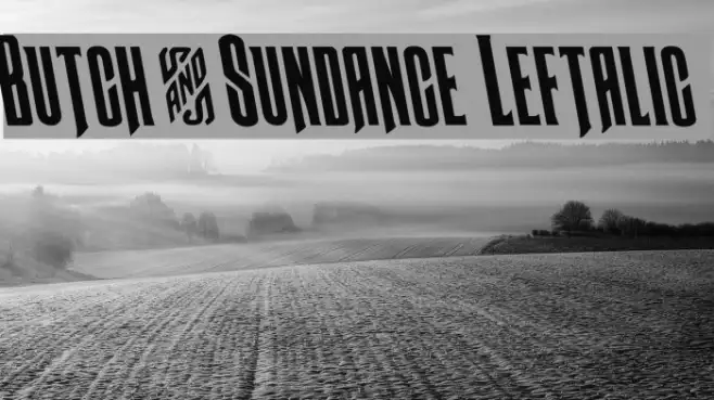 Butch & Sundance Leftalic Example 2