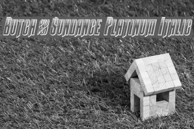 Butch & Sundance Platinum Italic Font examples