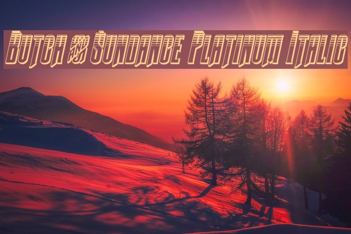 Butch & Sundance Platinum Italic Example 2