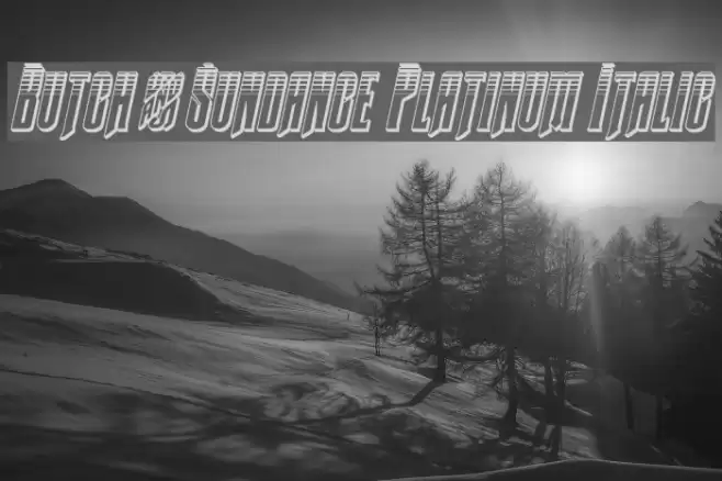 Butch & Sundance Platinum Italic Font examples