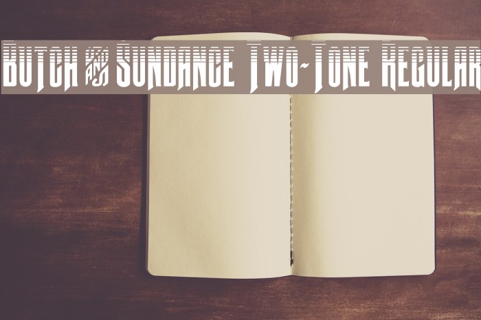 Butch & Sundance Two-Tone Regular Font examples