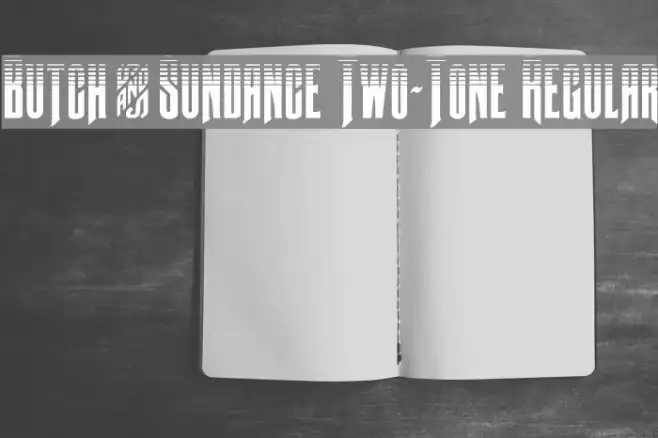 Butch & Sundance Two-Tone Regular Example 2