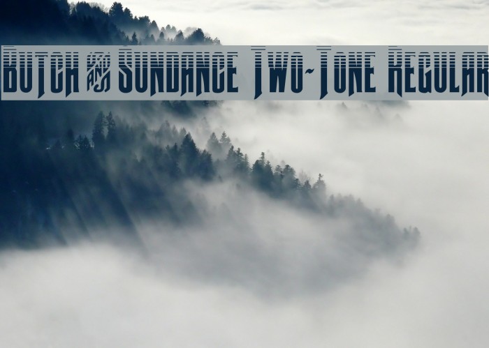 Butch & Sundance Two-Tone Regular Font examples