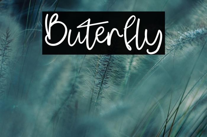 Buterfly Example 2