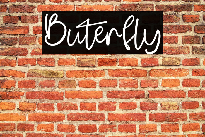 Buterfly Example 3
