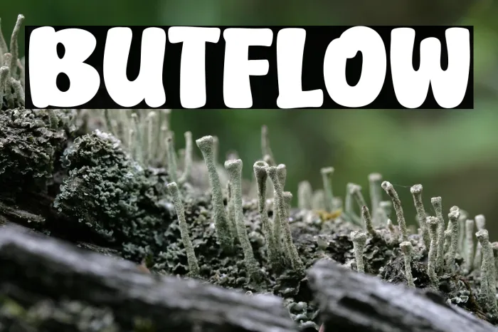 Butflow Example 3
