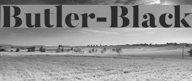 Butler-Black Font examples