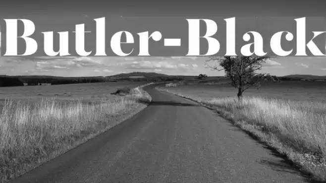 Butler-Black Font examples