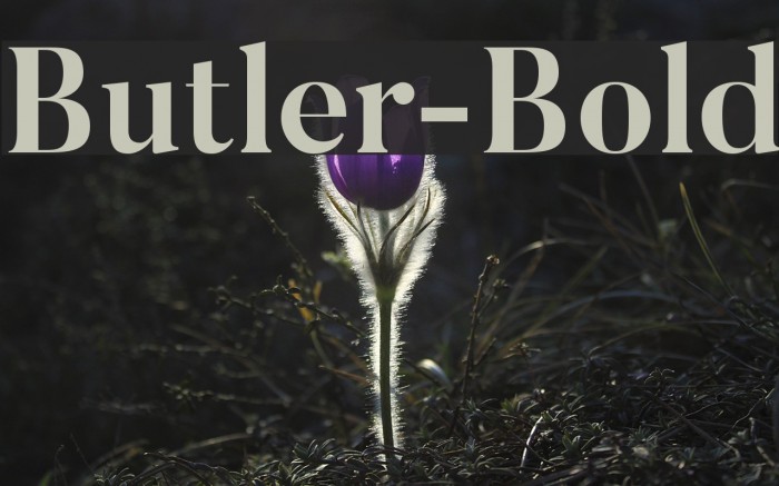 Butler-Bold Font examples