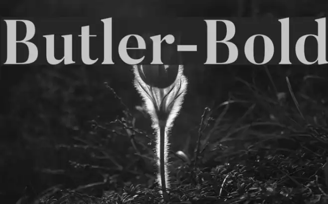 Butler-Bold Example 1