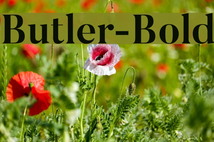 Butler-Bold Font examples