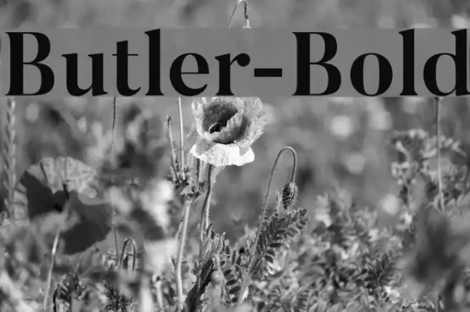 Butler-Bold Example 3