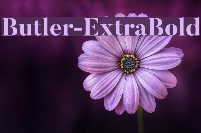 Butler-ExtraBold Font examples