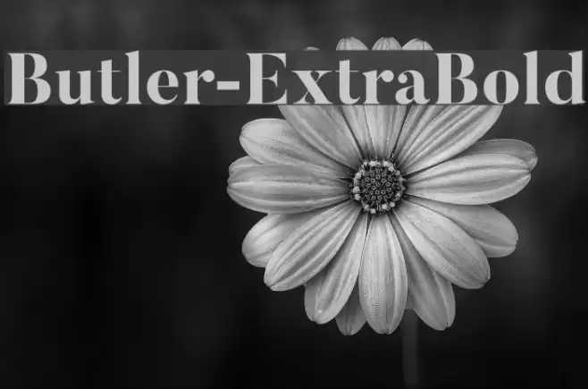 Butler-ExtraBold Font examples