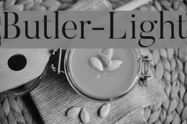 Butler-Light Font examples