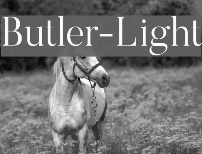 Butler-Light Font examples