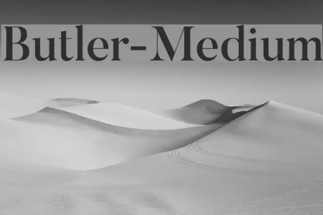 Butler-Medium Font examples