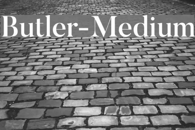 Butler-Medium Font examples