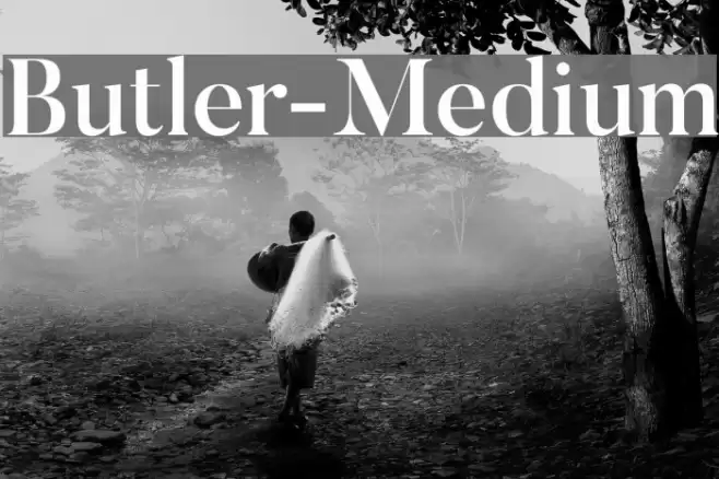 Butler-Medium Font examples