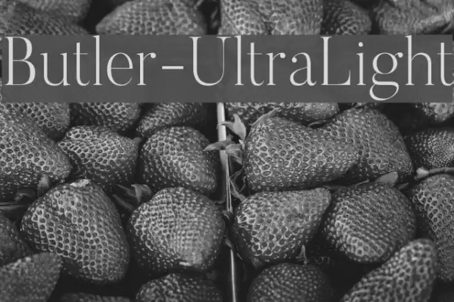 Butler-UltraLight Font examples