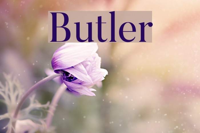Butler Font examples