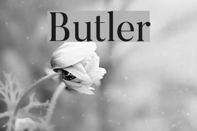Butler Example 2