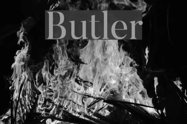 Butler Example 3