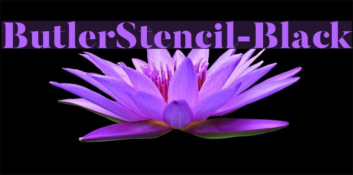ButlerStencil-Black Font examples