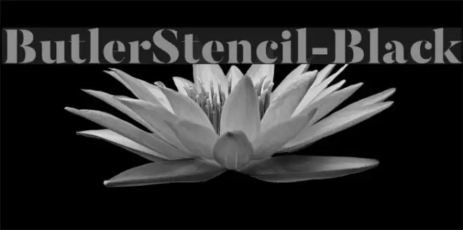 ButlerStencil-Black Example 2