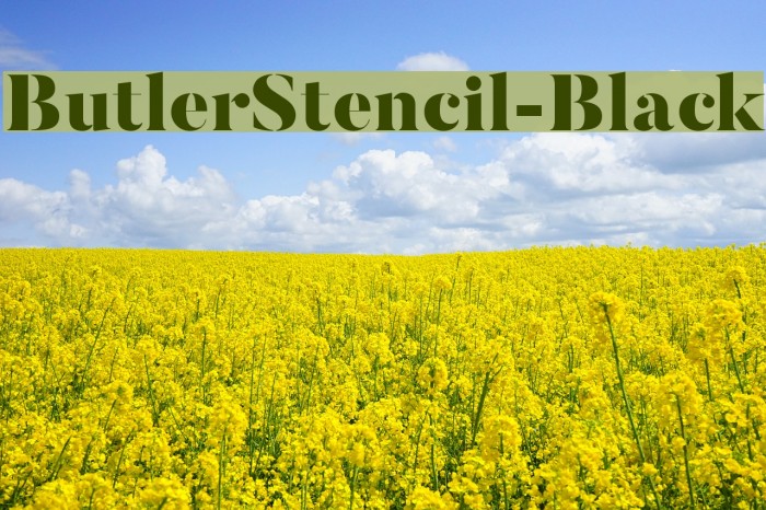 ButlerStencil-Black Font examples