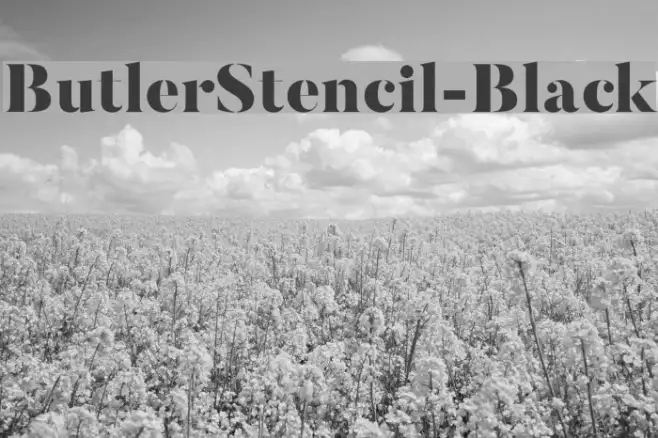 ButlerStencil-Black Example 3