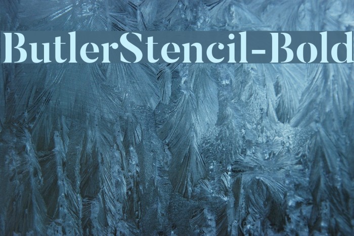 ButlerStencil-Bold Font examples