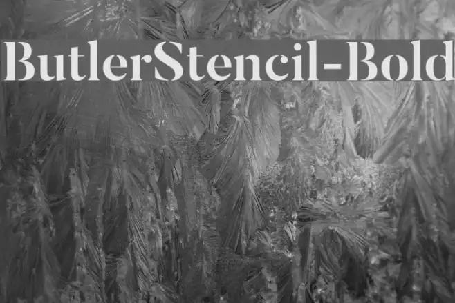 ButlerStencil-Bold Example 2