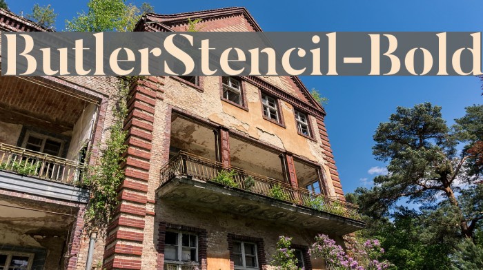 ButlerStencil-Bold Font examples