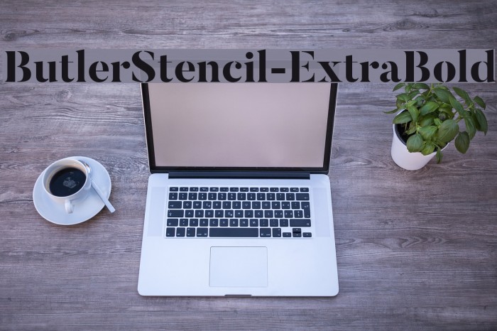 ButlerStencil-ExtraBold Example 1