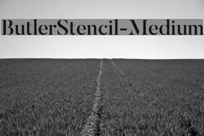 ButlerStencil-Medium Font examples