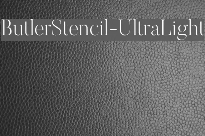 ButlerStencil-UltraLight Example 2