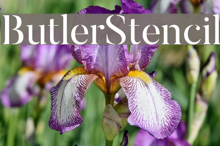 ButlerStencil Font examples
