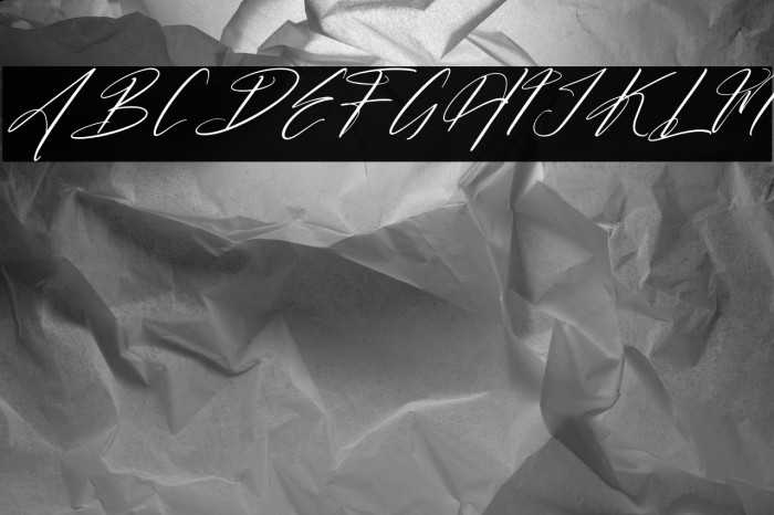 Butnekia DEMO VERSION Italic Example 2