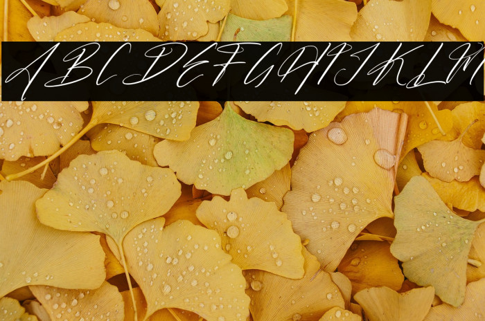 Butnekia DEMO VERSION Italic Example 3