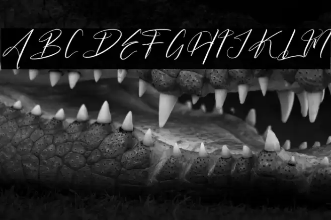 Butnekia DEMO VERSION Font examples