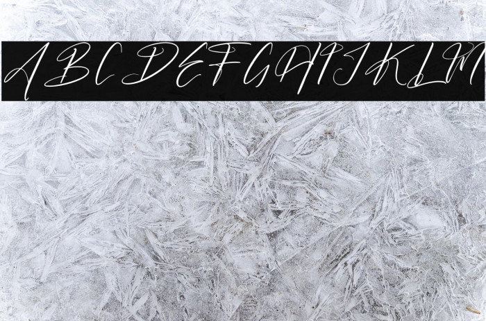 Butnekia DEMO VERSION Example 2