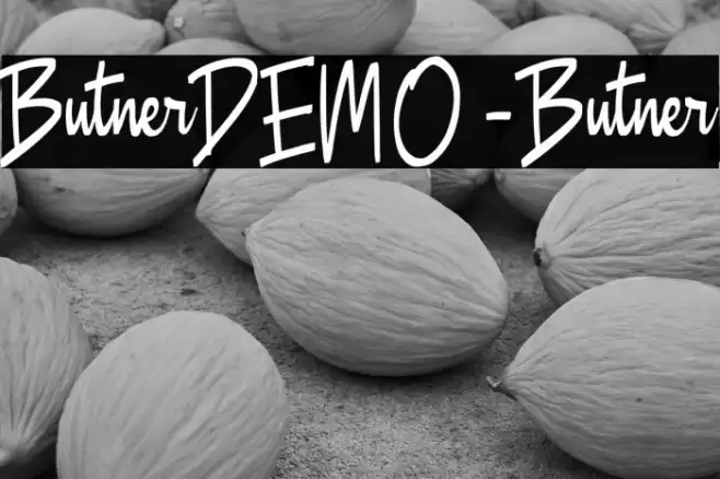 ButnerDEMO-Butner Font examples