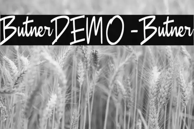ButnerDEMO-Butner Font examples