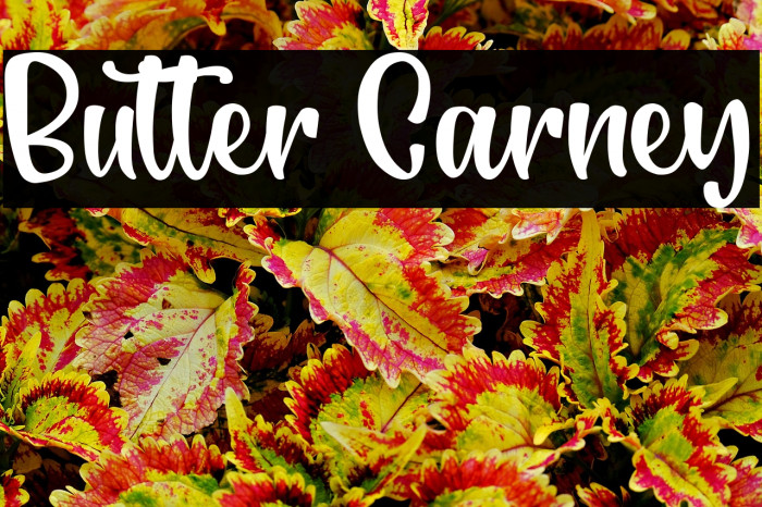 Butter Carney Example 2