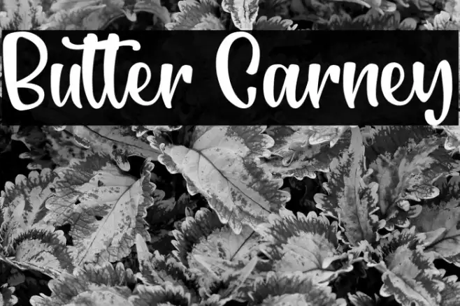 Butter Carney Example 2