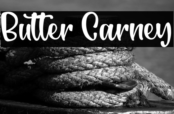 Butter Carney Example 3